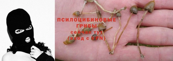 Альфа ПВП Алексин