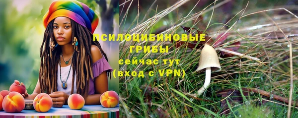 MESCALINE Алзамай