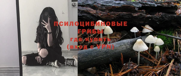 Альфа ПВП Алексин