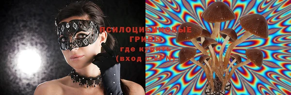 Альфа ПВП Алексин